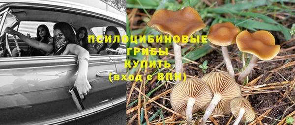 альфа пвп Долгопрудный