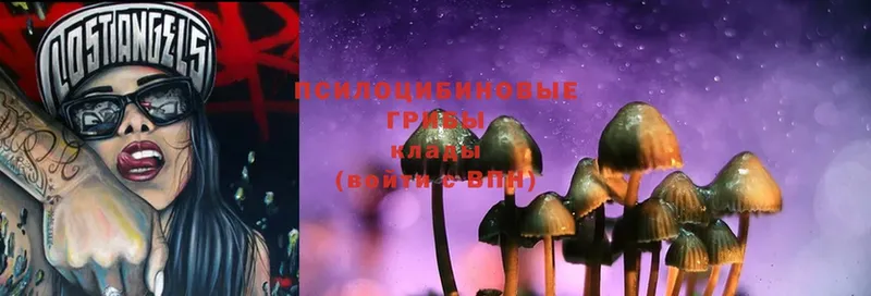 Псилоцибиновые грибы Magic Shrooms  Новоуральск 