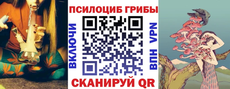 Галлюциногенные грибы Magic Shrooms Новоуральск