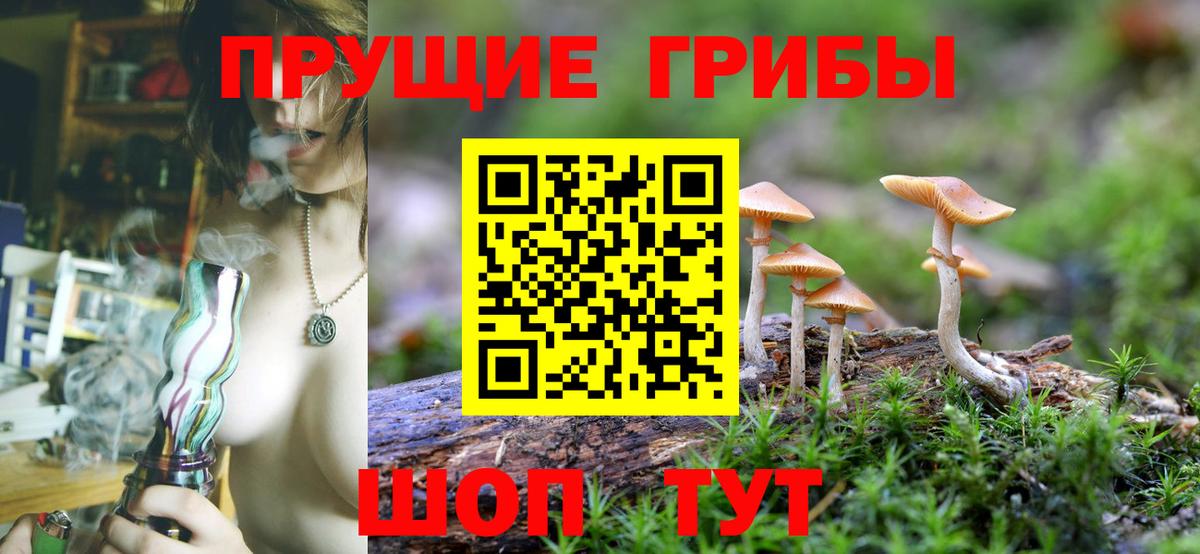 Новоуральск  Псилоцибиновые грибы GOLDEN TEACHER  Вход с VPN 