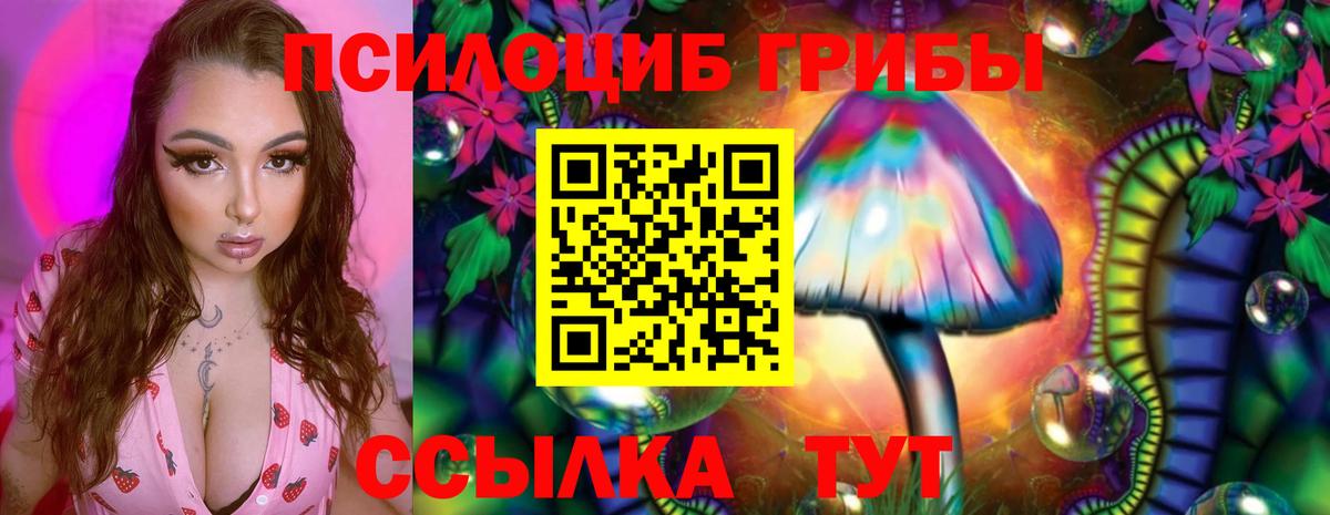 Псилоцибиновые грибы прущие грибы Новоуральск